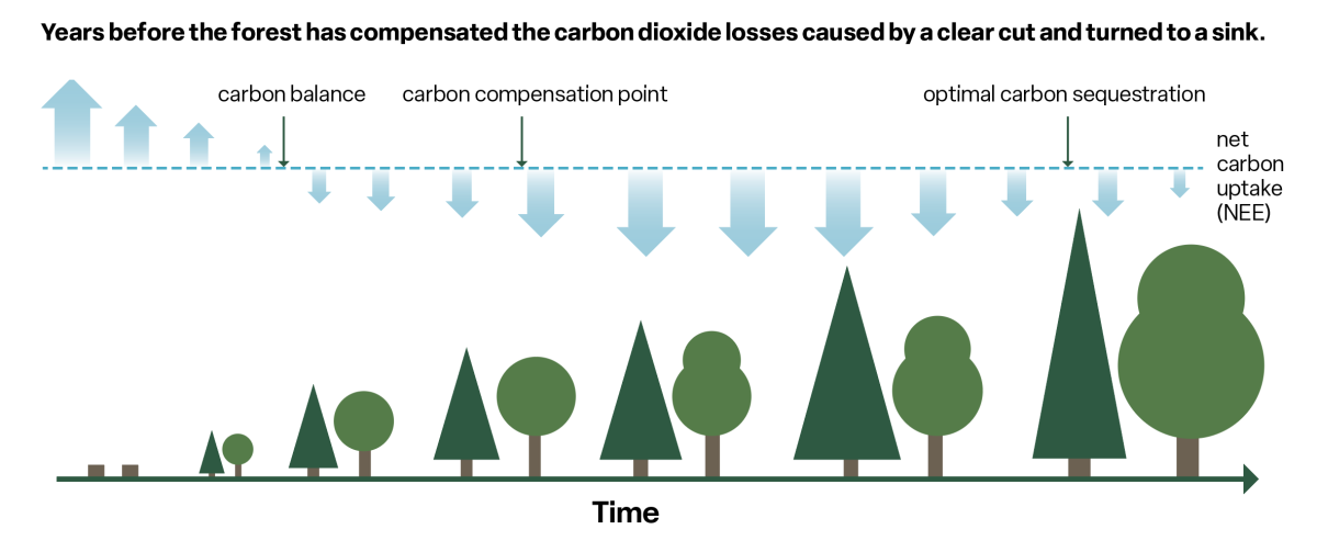 Forest carbon sinks under pressure ICOS